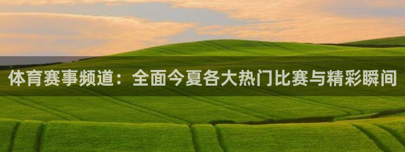 体育赛事频道：全面今夏各大热门比赛与精彩瞬间